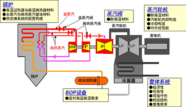 足球免费直播