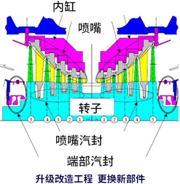 足球免费直播