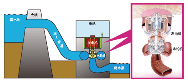 足球免费直播