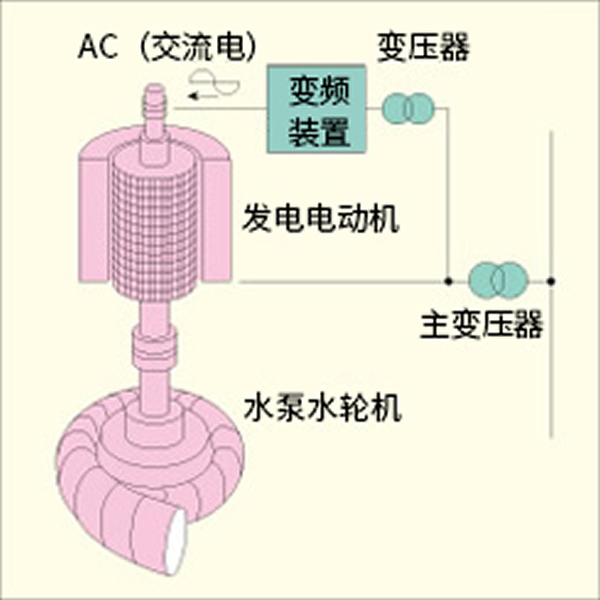 足球免费直播