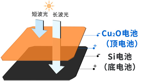 足球免费直播