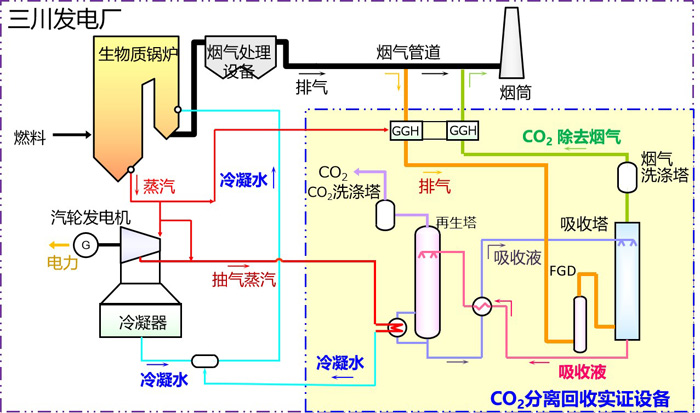 足球免费直播